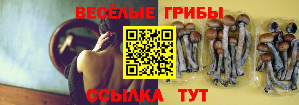 Добрянка  Псилоцибиновые грибы MAGIC MUSHROOMS  Вход с VPN 